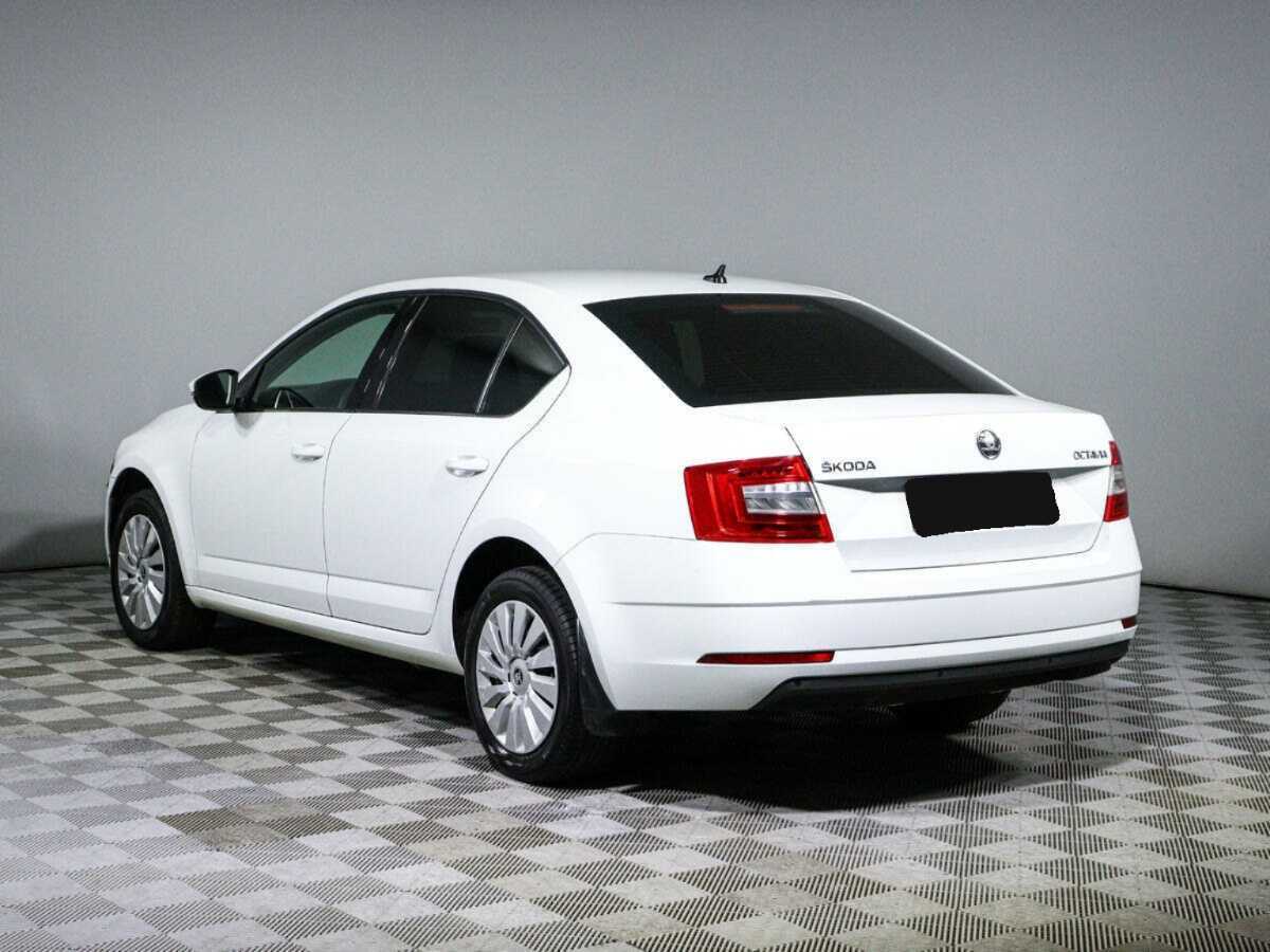 Skoda Octavia, 2019 Фото №7